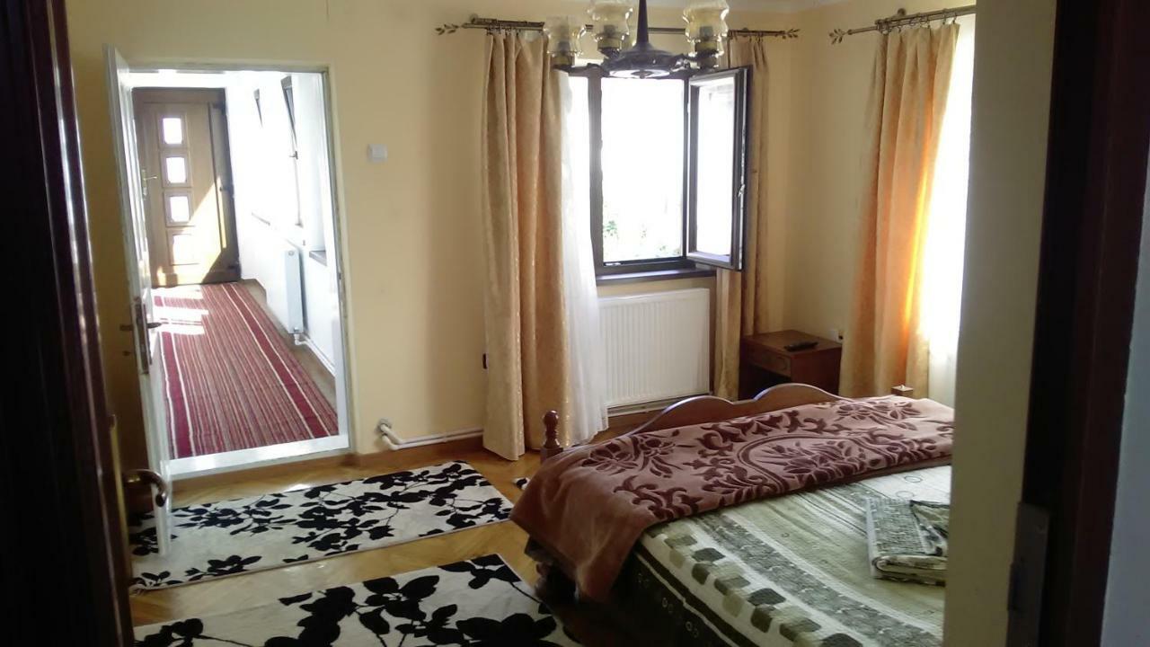 Pensiunea Adeluta Călimăneşti Eksteriør billede